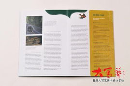 設計師Carolina Medeiros的書籍設計藝術及其對室內外平面圖文設計的啟示——以重慶、成都家裝飾設計師培訓為參考